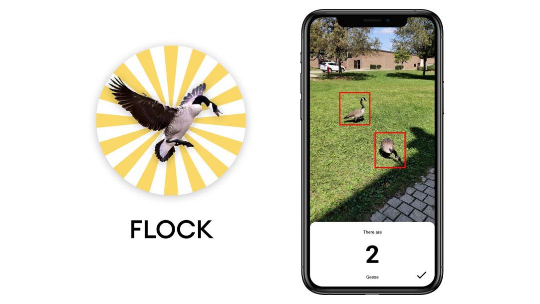 Screenshot of the flock goose tracking app